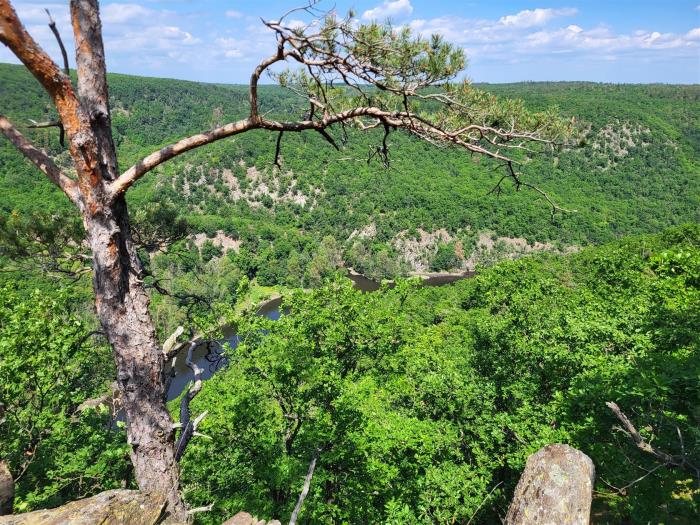 Aussicht mit Baum auf Vorsprung