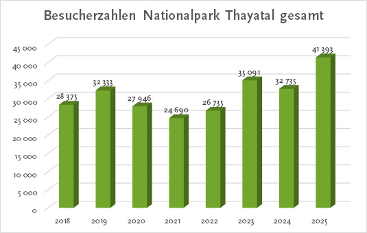 Balkendiagramm zu Besucher:innenzahlen