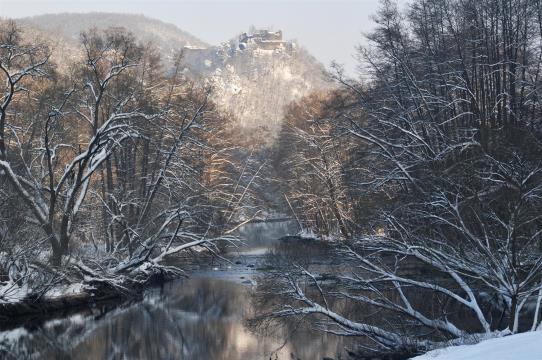 Winterlicher Blick auf Ruine Neuhäusl