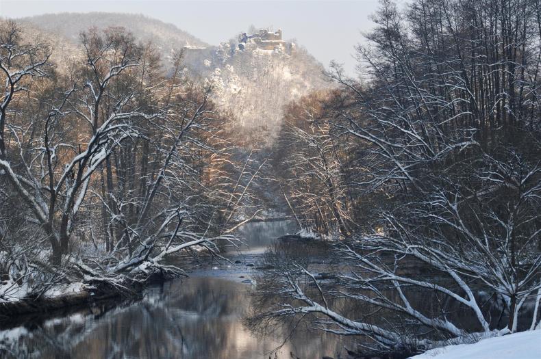 Winterlicher Blick auf Ruine Neuhäusl