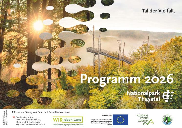 Titelblatt des Programmhefts 2026 mit Foto von der Aussichtswarte im Herbstwald