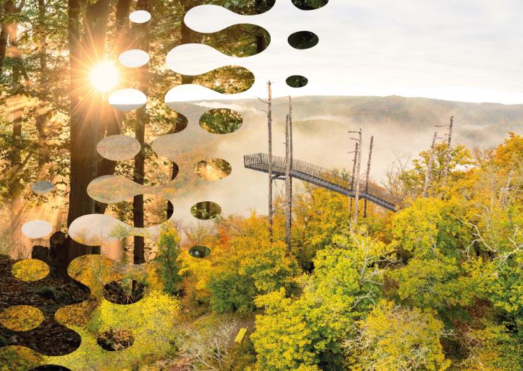 Titelblatt des Programmhefts 2026 mit Foto von der Aussichtswarte im Herbstwald