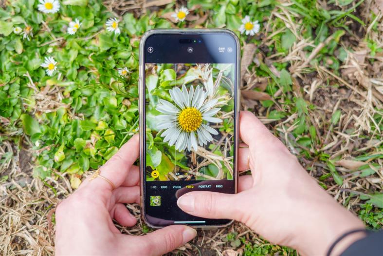 Handyfotografie