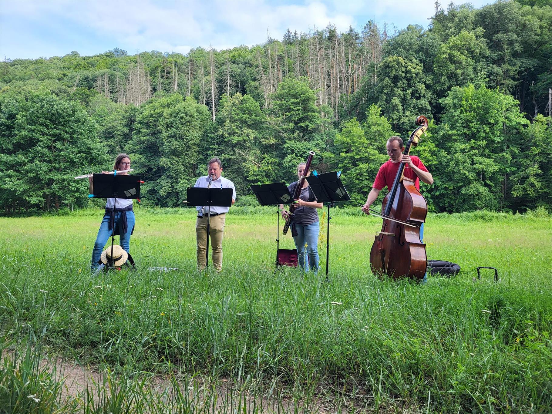 Musiker:innen auf Wiese
