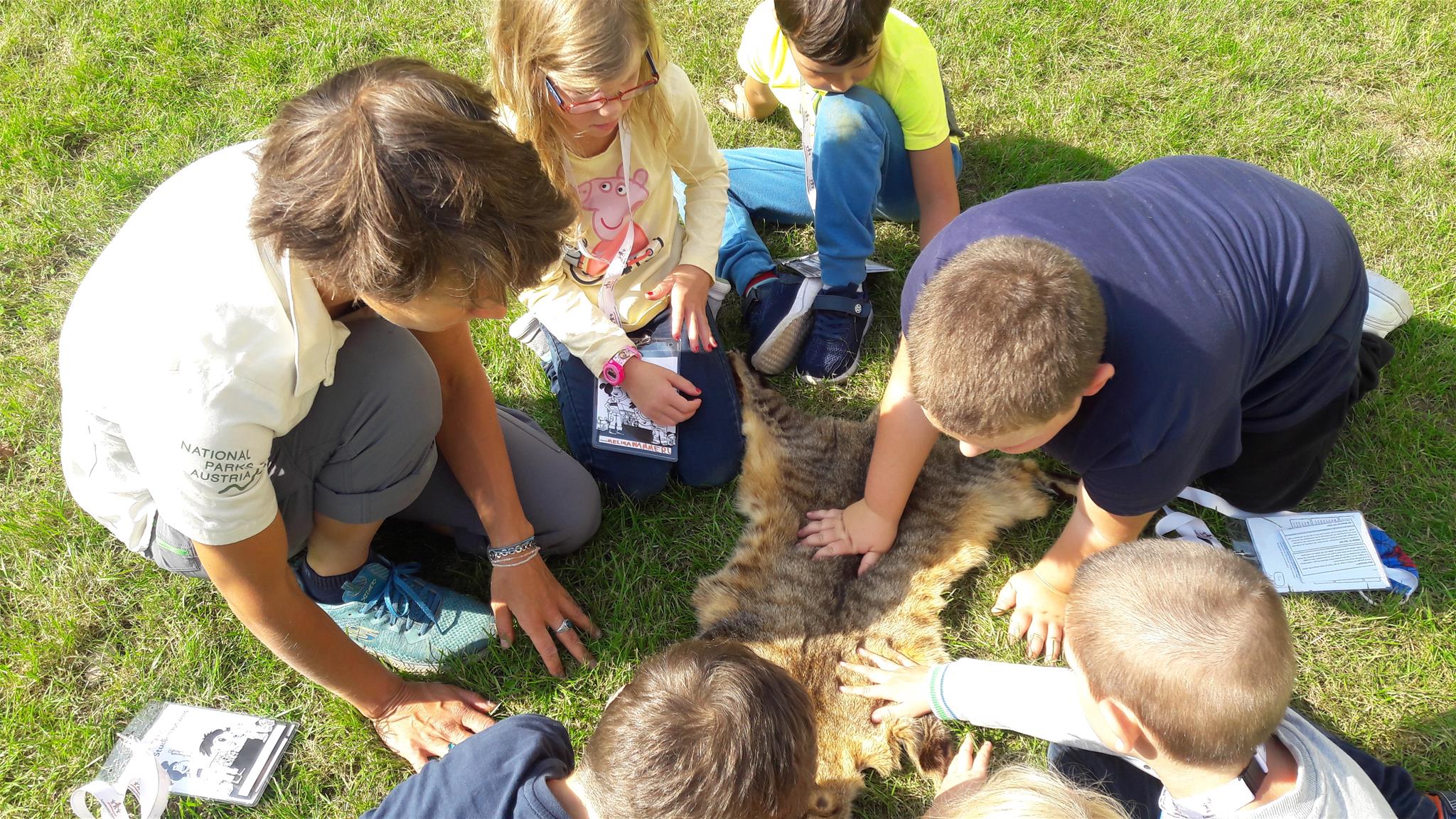 Kinder beim betrachten eines Wildkatzenfells
