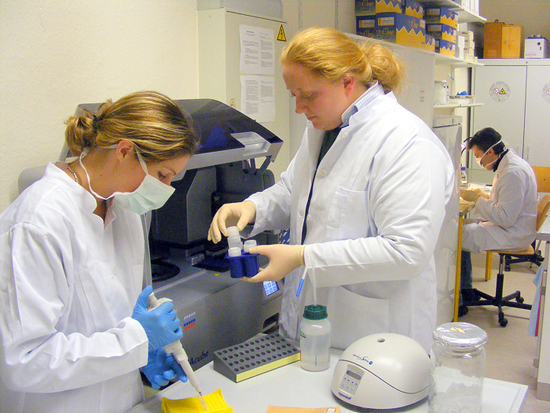 Die genetische Untersuchung der gesammelten Haarproben erfolgt im Forschungsinstitut Senckenberg in Deutschland.