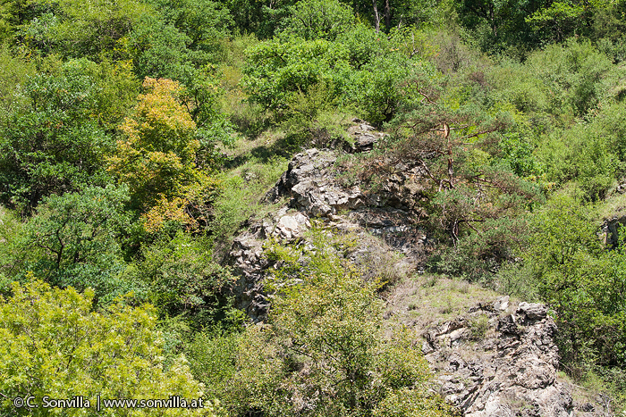 Im Thayatal tritt die geologische Geschichte vielerorts offen zutage.