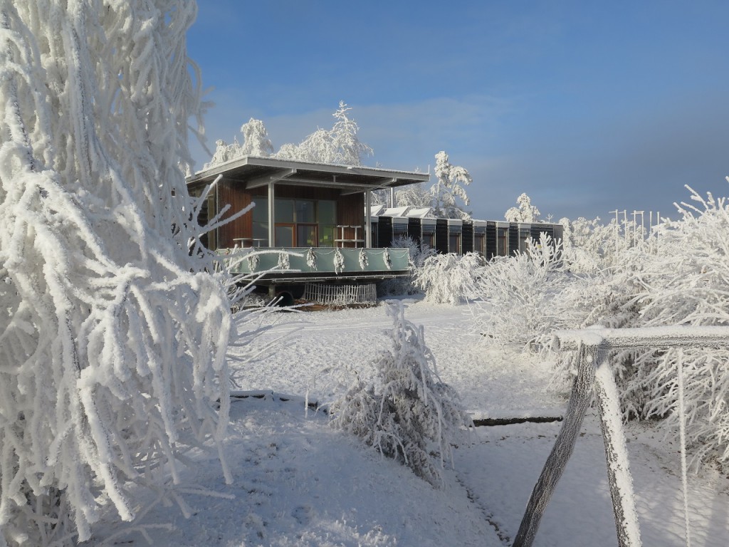 Nationalpark Thayatal im Winter