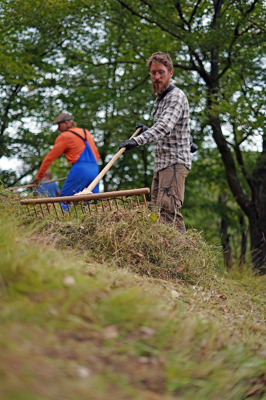 Wiesenmahd zur Erhaltung der Artenvielfalt im Nationalpark Thayatal
