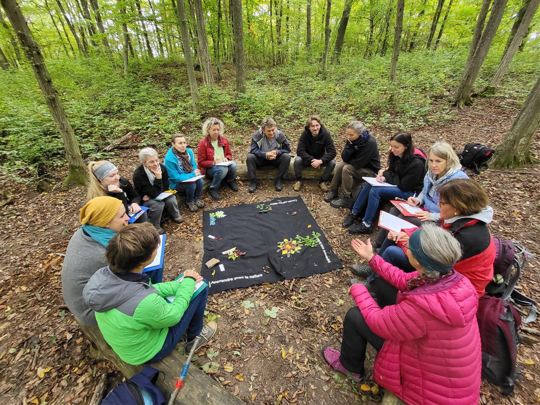 Klassenzimmre Natur im Nationalpark Thayatal