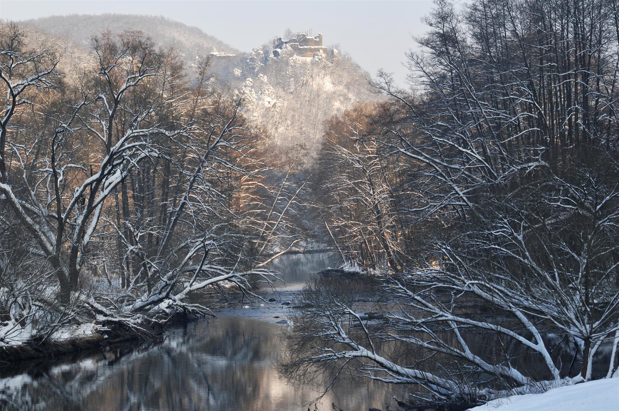 Winterlicher Blick auf Ruine Neuhäusl