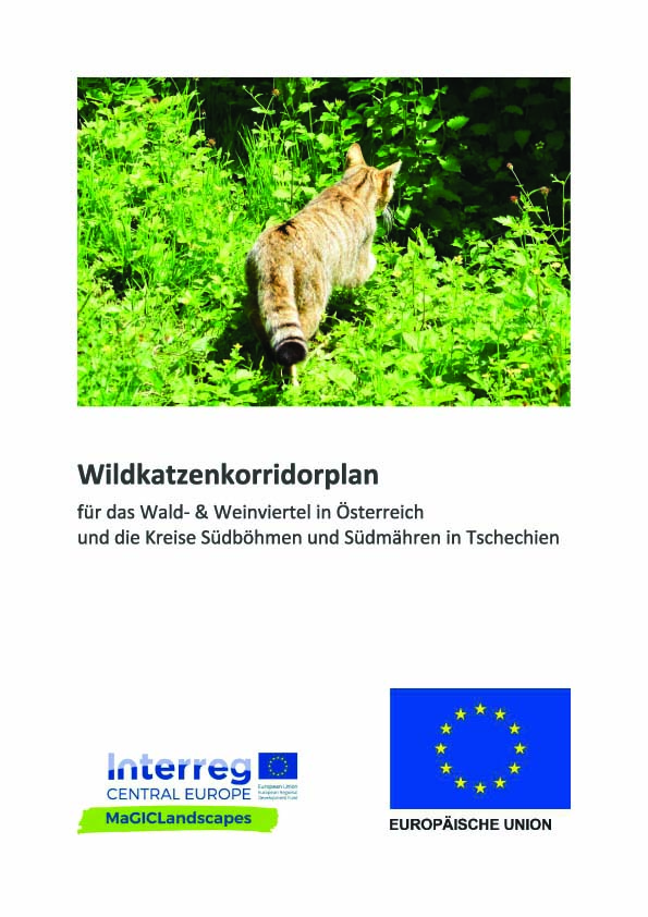 Wildkatzenkorridorplan 2021