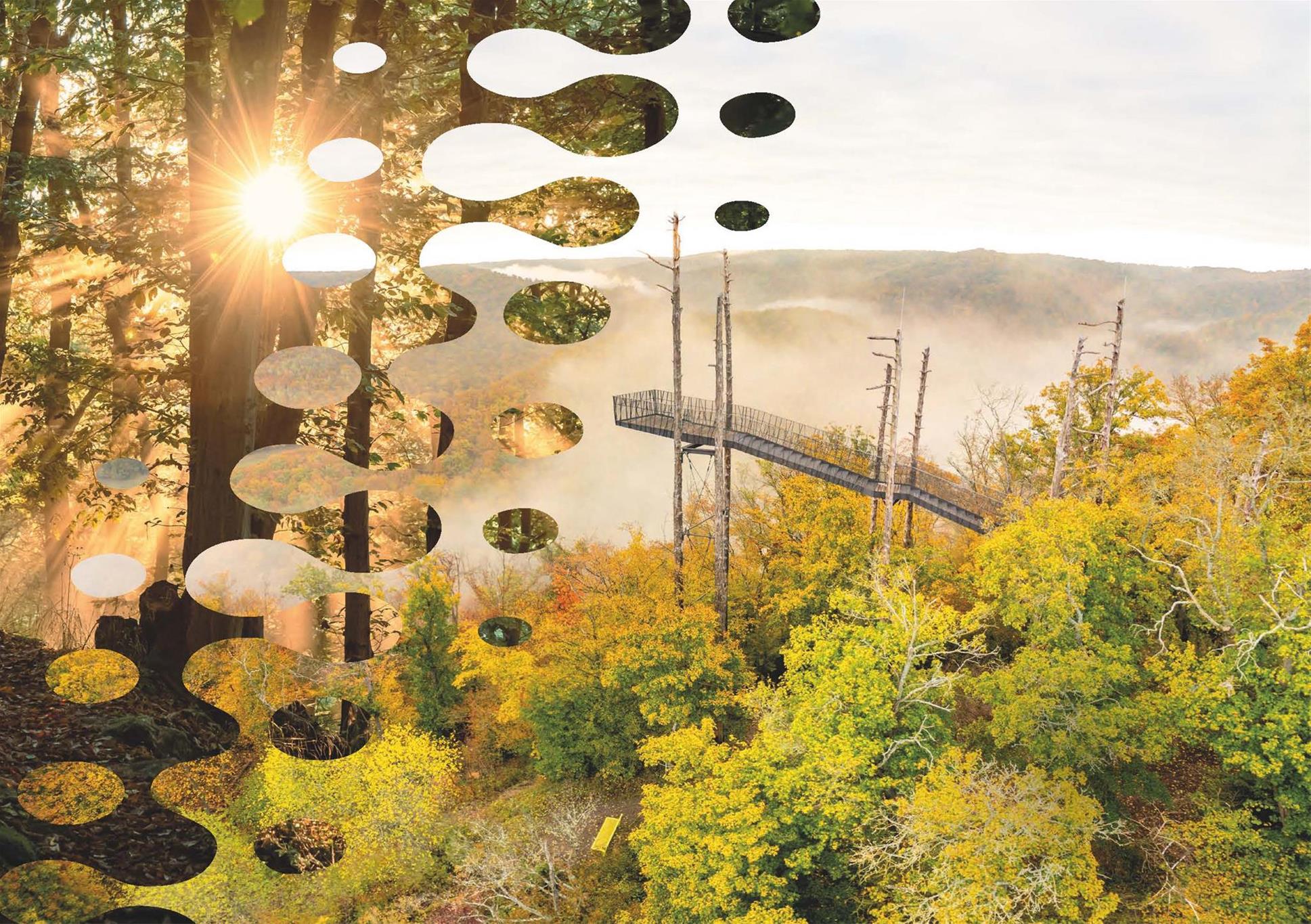 Neues Programm mit Bild vom Thayatal