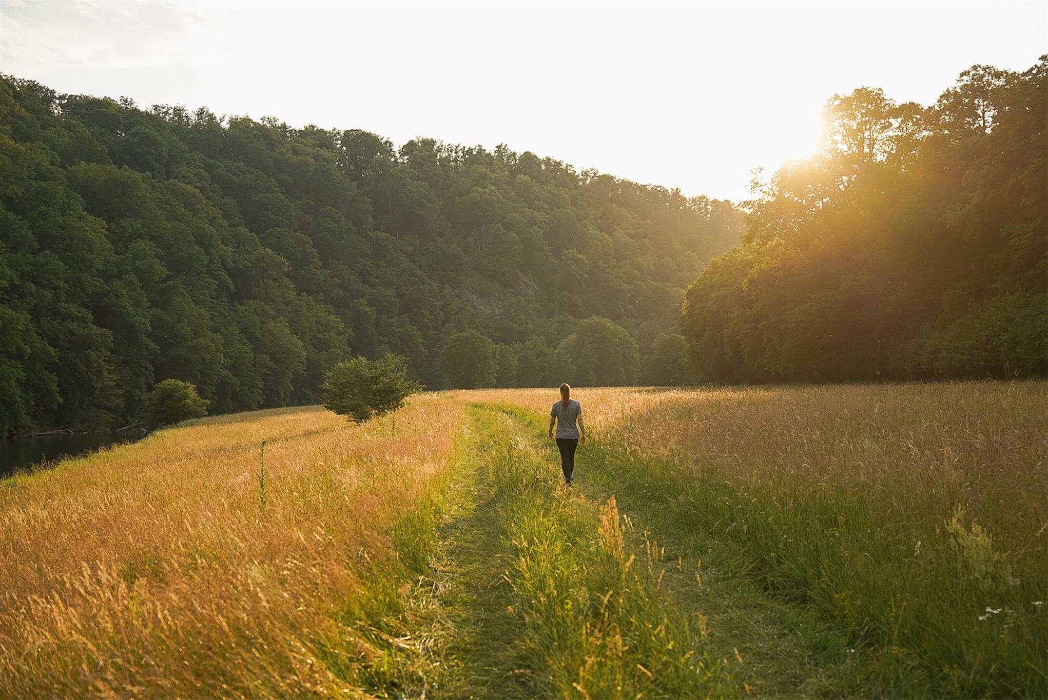 Wanderin auf Umlaufwiese