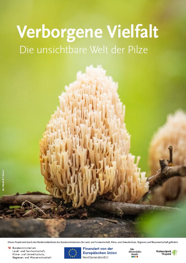 Titelseite der Broschüre "Verborgene Vielfalt - Die unsichtbare Welt der Pilze"
